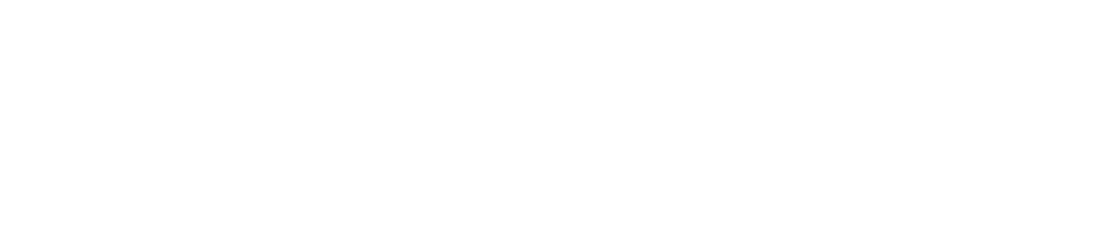 New England Society for Vascular Surgery